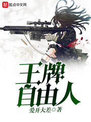 《王牌自由人》作者:爱开大差