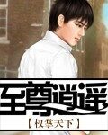 《至尊逍遥》作者:权掌天下