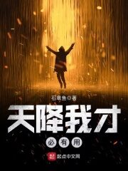 《天降我才必有用》作者:石章鱼