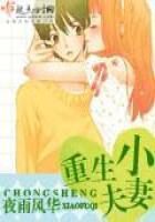 《重生小夫妻》作者:夜雨风华