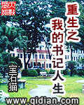 《重生之我的书记人生》作者:宝石猫