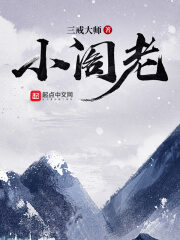 《小阁老》作者:三戒大师