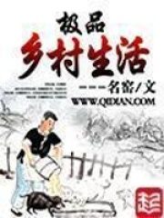 《极品乡村生活》作者:名窑