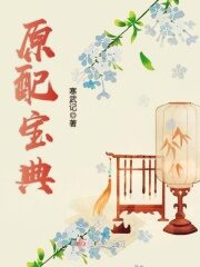 《原配宝典》作者:寒武记