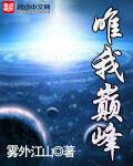 《唯我巅峰》作者:雾外江山