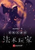 《霍格沃兹的法术玩家》作者:咸言碎语