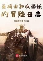 《圣骑士和疯巫妖的冒险日志》作者：爱哀殿的麦子