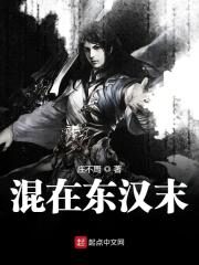 《混在东汉末》作者:庄不周
