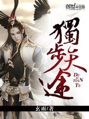 《独步天途》作者:玄雨