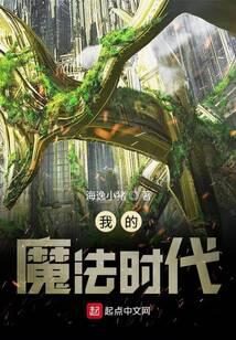 《我的魔法时代》作者：海逸小猪
