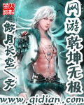 《网游乾坤无极》作者:傲月长空