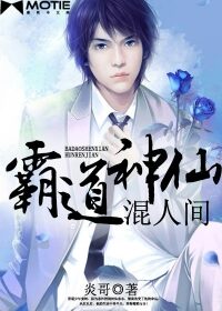 《霸道神仙混人间(风流神仙混官场)》作者:炎哥