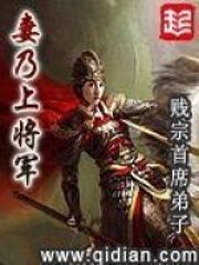 《妻乃上将军》作者:贱宗首席弟子