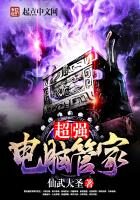 《超强电脑管家》作者:仙武大圣