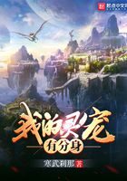《我的灵宠有分身》作者:寒武刹那