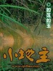 《小地主》作者:如莲如玉