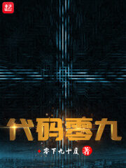 《代码零九》作者:零下九十度