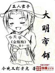 《大明帝师》作者:今晚又打老虎