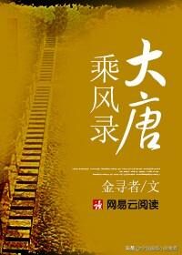 《大唐乘风录》作者:金寻者