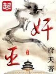 《奸臣》作者:府天