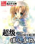 《超级坏人系统》作者:黑暗骑士殿