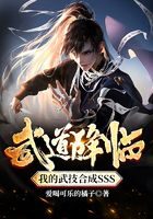 《武道降临：我的武技合成SSS》作者：爱喝可乐的橘子