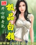 《极品白领》作者:开心的老鼠