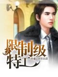 《限制级特工》作者:不乐无语