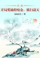 《召唤:开局奖励程咬金,横扫诸天》作者:孤城扶风