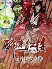 《醉迷红楼》作者:屋外风吹凉