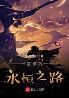 《巫师的永恒之路》作者:奈何泊者