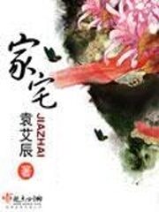 《家宅》作者:袁艾辰