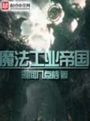 《魔法工业帝国》作者:晚间八点档