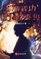 《我的武功能打怪升级》作者:烽烟未冷