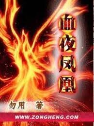 《血夜凤凰》作者:勿用