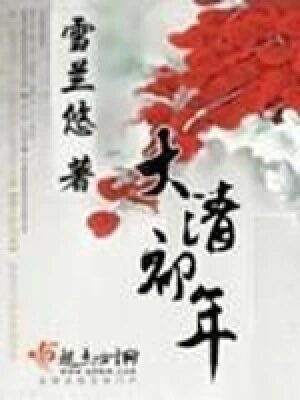 《大清初年》作者:雪兰悠