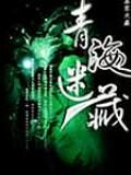 《青海迷藏》作者:慕容关康