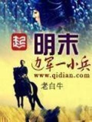 《明末边军一小兵》作者:老白牛