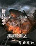 《无敌兵王》作者:木士