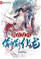 《我在皇宫偷偷化龙》作者：血枫啊