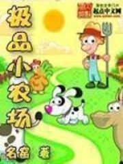 《极品小农场》作者:名窑