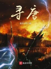《寻唐》作者:枪手1号