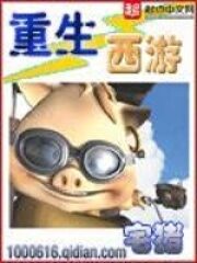 《重生西游》作者:宅猪