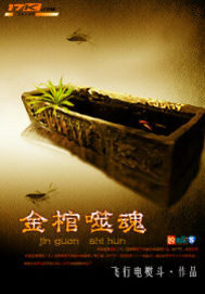 《金棺噬魂》作者:飞行电熨斗