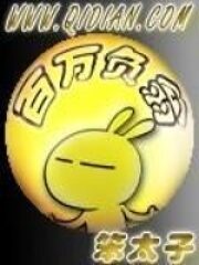 《百万负翁》作者:笨太子