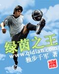 《绿茵之王》作者:独步千军