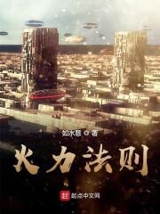 《火力法则》作者:如水意