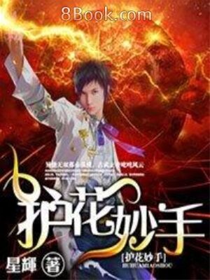 《护花妙手》作者:星辉