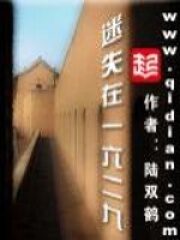 《迷失在一六二九》作者:陆双鹤