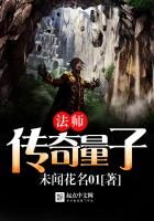 《传奇量子法师》作者:未闻花名01